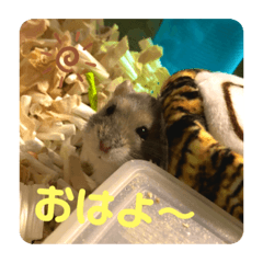 Yuto_20210106003552