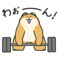 Muscle Shiba Inu (straight face ver.)