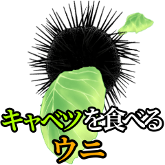 Sea Urchin Sticker Part1 Line Stickers Line Store Sea Urchin Sticker Part1 Line Stickers Line Store