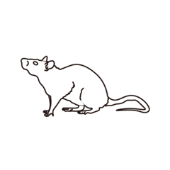 mizuki_20210105184626