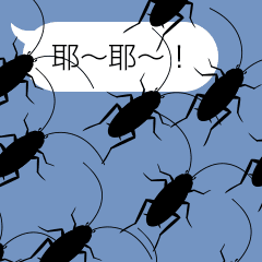 Cockroach moving 5 (Taiwan)