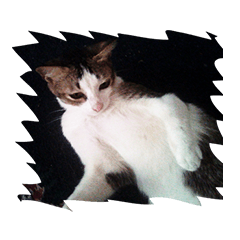 Lala Si Kucing Vol 2 (Sticker)