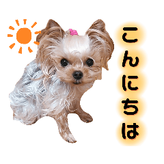 mimi_20210106142845