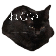 hana_20210106142600