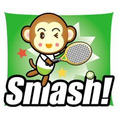 the monkey play tennis