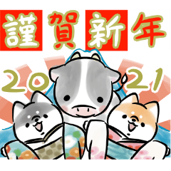 柴犬慶祝新的一年<牛>