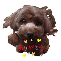 すずちゃんスタンプNO.1