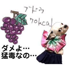 diet kcal dog enjoy picturecollaboration