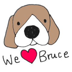 Bruce the Beagle 2