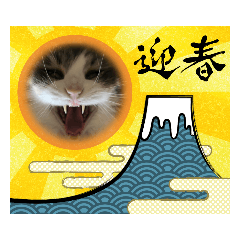 hime Happy new year