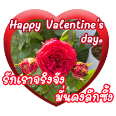 Happy Valentine's days
