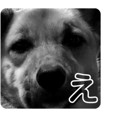 Yun_20210106185728