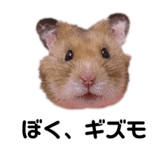 cream_20210106230252