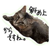 mt_20210107010722