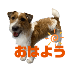 kii_20210106225744