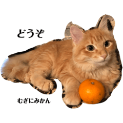 nyanko_20210106233022