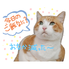 ponzu_20210107040608