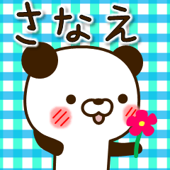my Panda"Sanae"