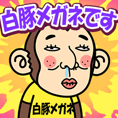 Shirobutamegane is a Funny Monkey2