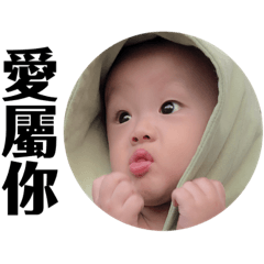 侖侖是小呆鵝！