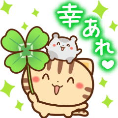 Moving cat Ham