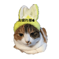 SMILE_20210107112626