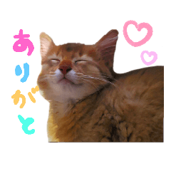ponzu_20210107004448