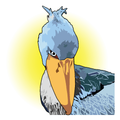 Sluggish bird Shoebill