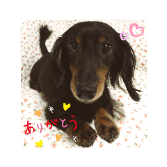 Kayo_20210107103629