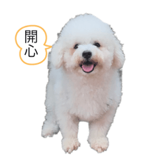 愛撒嬌的熊