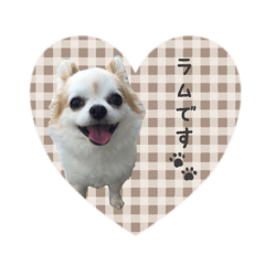 ram___coton sticker