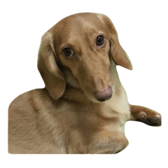 cocoa_20210107142217