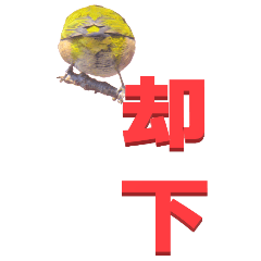 two Chinese characters From White-eye
