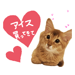 ponzu_20210107150412