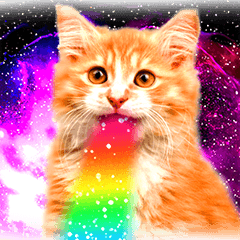 猫写真スタンプ8 ★猫宇宙