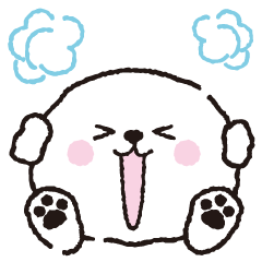 귀여운 강아지 비숑 프리제 2