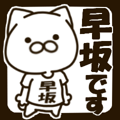 HAYASAKA-cat