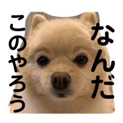 risa_20210107181352