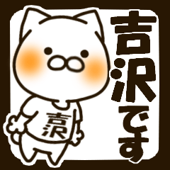 YOSHIZAWA-cat