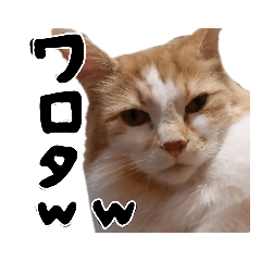 ponzu_20210107182558