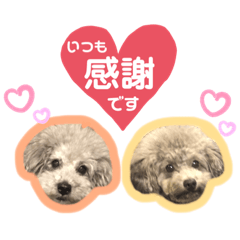 Nanami_20210107190143