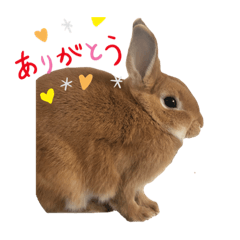 hana_20210107191200