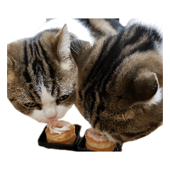 kanae_20210107211340