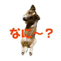 kii_20210107215915