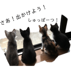 tomomi_20210107235624