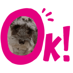 akiko_20210108081048