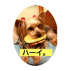 hiroyuki_20210107212205