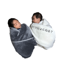 panda_20210107201352