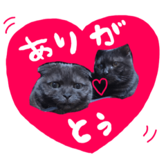 natsumi_20210107182028