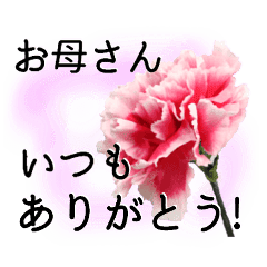 母の日に花を Part2 カーネーション Line スタンプ Line Store
